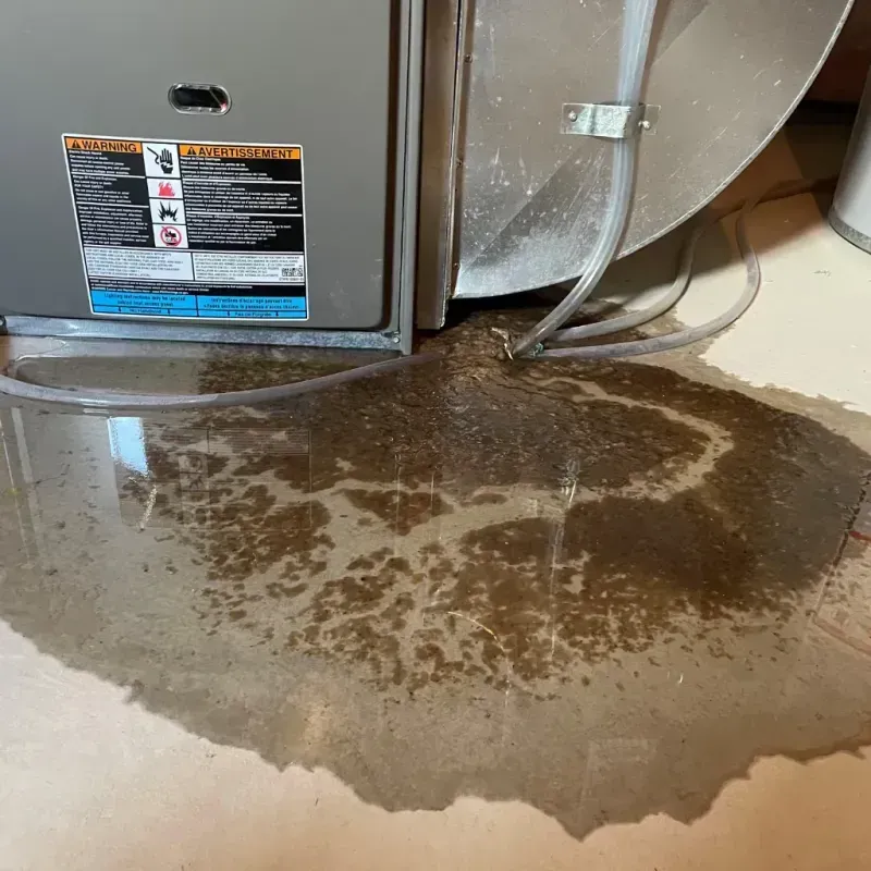 Appliance Leak Cleanup in Worthington, OH